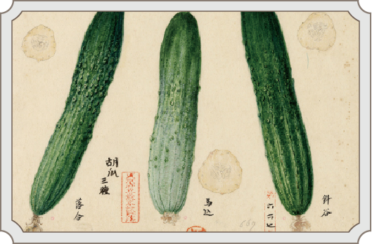 ご存じですか？「江戸東京野菜」