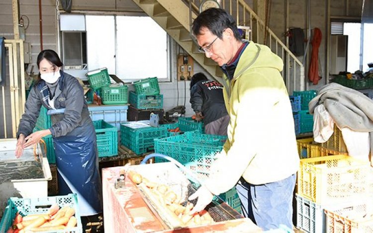 『25年間で培った野菜作りを後輩たちに伝える　中西真一さん』