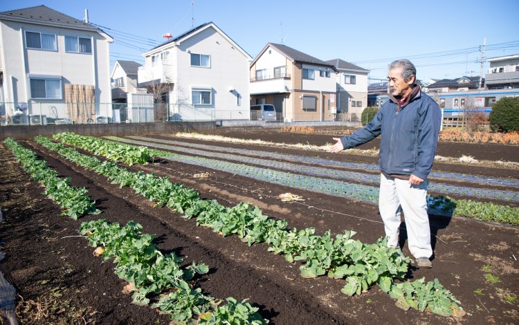 『江戸東京野菜をメジャーに』