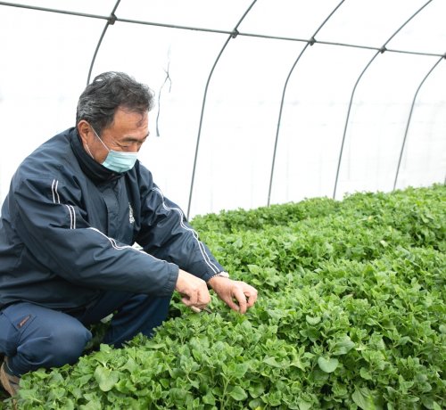 足立の「つまもの」をハント！