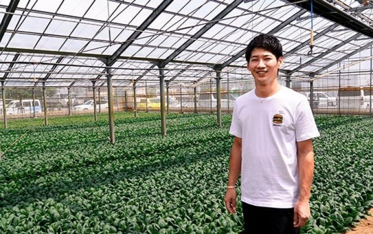 『歴史ある江戸川の小松菜を守る　門倉周史さん』