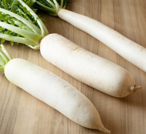 東京の大根を比べてみた！