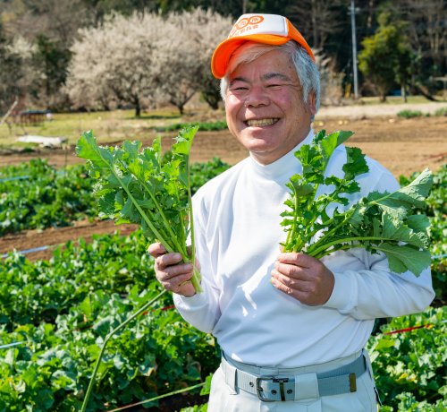 伝統野菜の「ノラボウナ」をハント！
