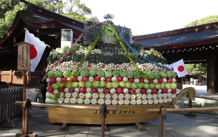 「東京やさい船」（前編） ～江戸川区の生産者を訪ねて～